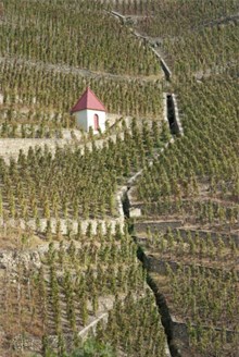 Rhone Valley Wine Region