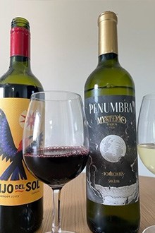 Wine52 San Juan Case 1